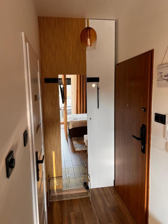Butikowy Apartament Konin 科宁 外观 照片